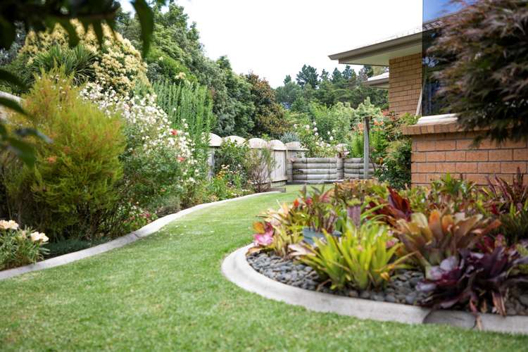 16 Macmillan Street Katikati_17