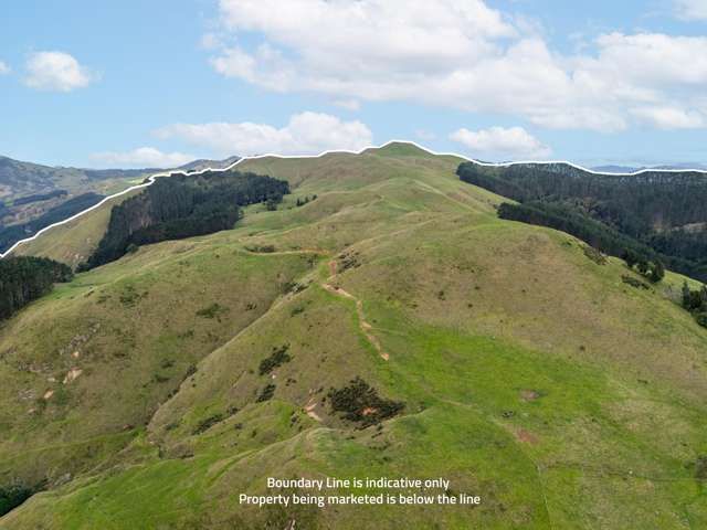 7200B State Highway 26 Paeroa_3