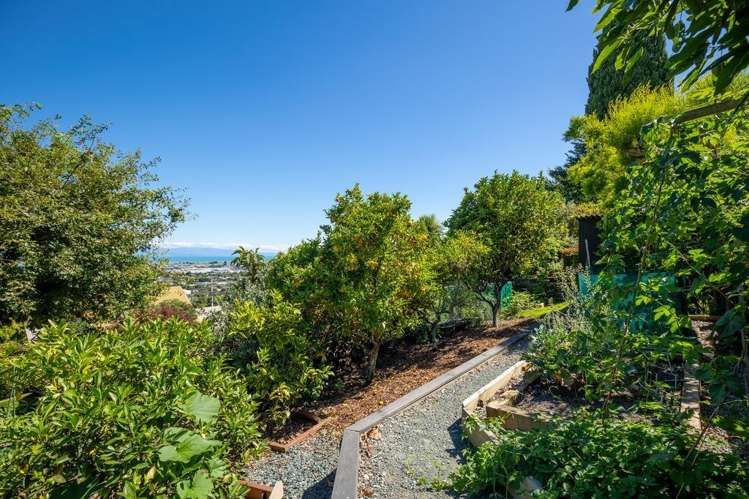 32 View Mount Stoke_25