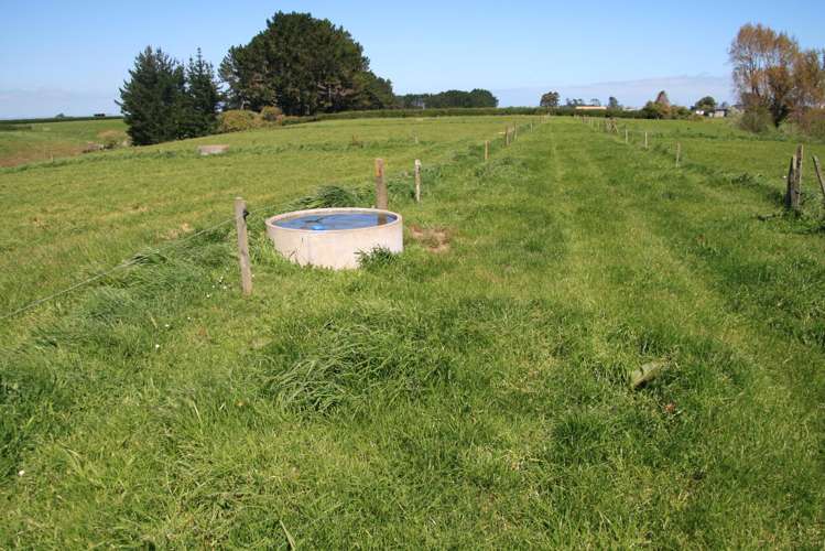 520 Lower Duthie Road Matapu_15