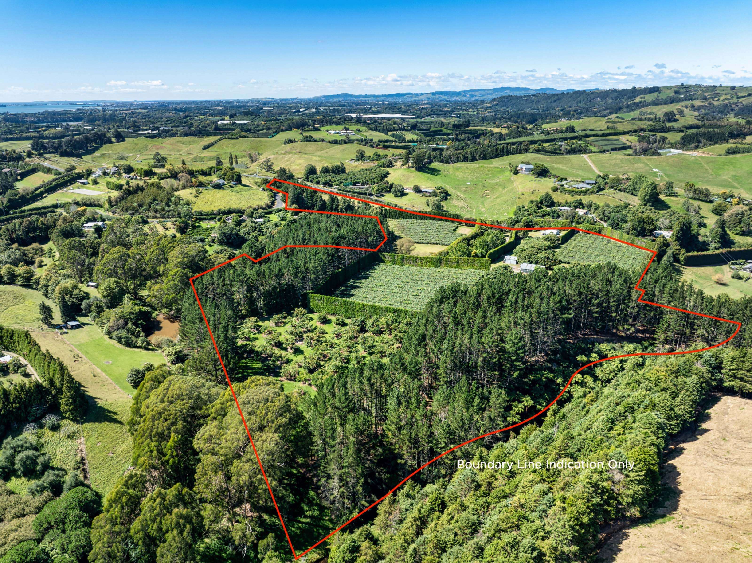 168 Youngson Road Whakamarama Western Bay Of Plenty Houses for