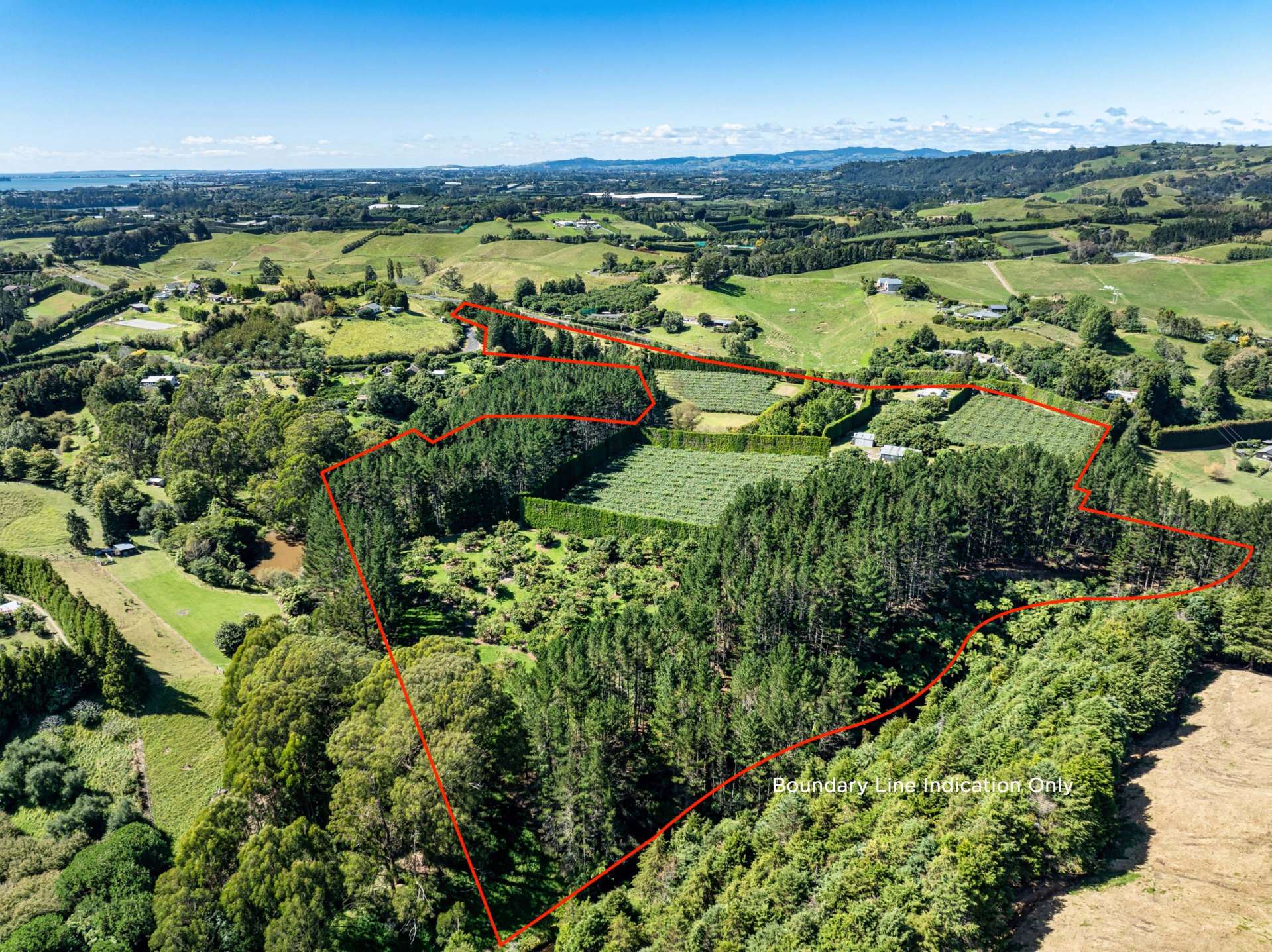 168 Youngson Road Whakamarama_0