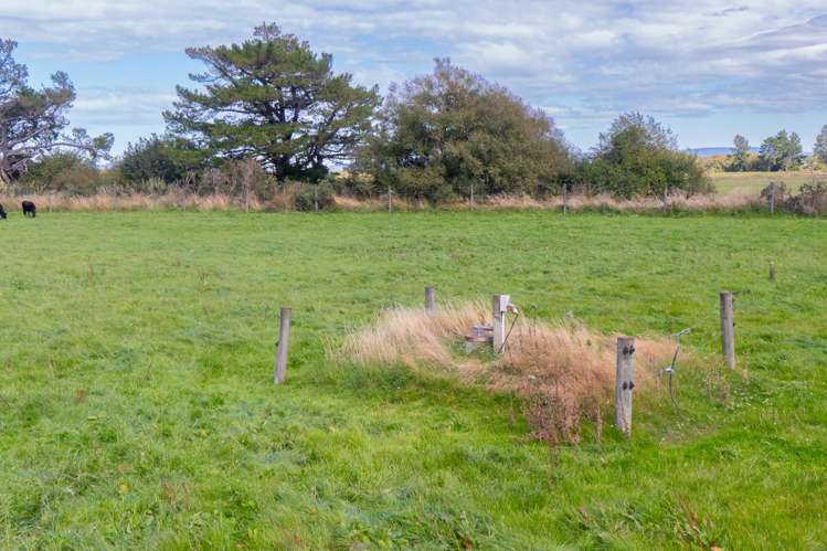 902 Avondale Road Taringatura_10