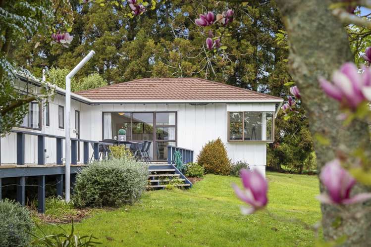 687C Runciman Road Ramarama_24
