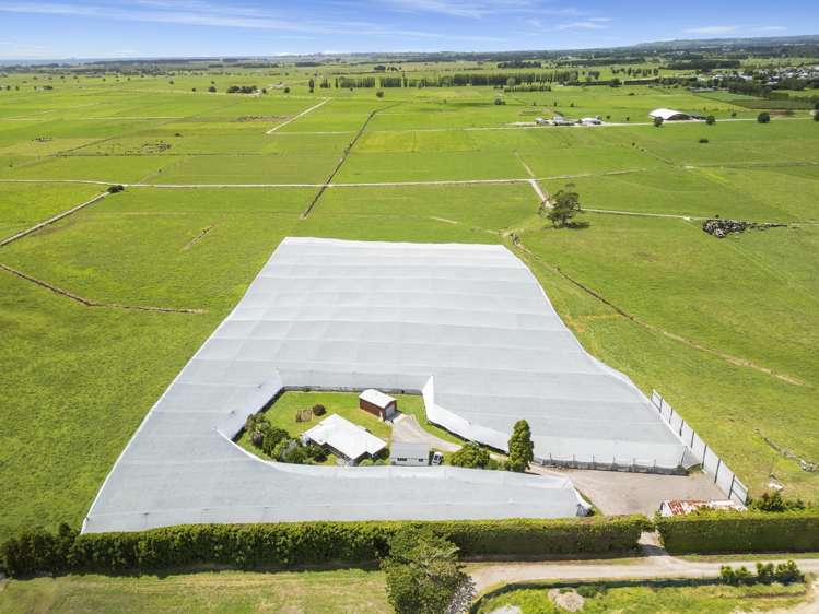 20 Ronalds Lane Te Puke_0