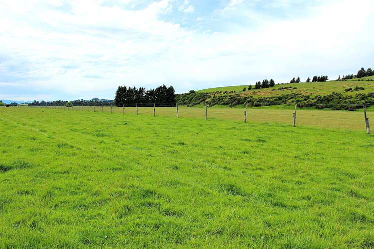 105 Lynwood Road Hillside_25