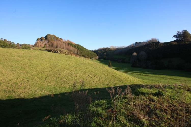 Maniatutu Road Pongakawa_10