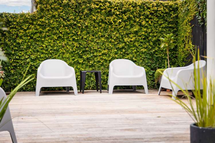 68 Fowlds Avenue Sandringham_16