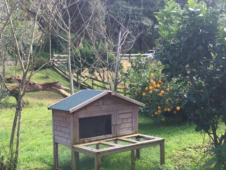 3944 Pouto Road Pouto_17