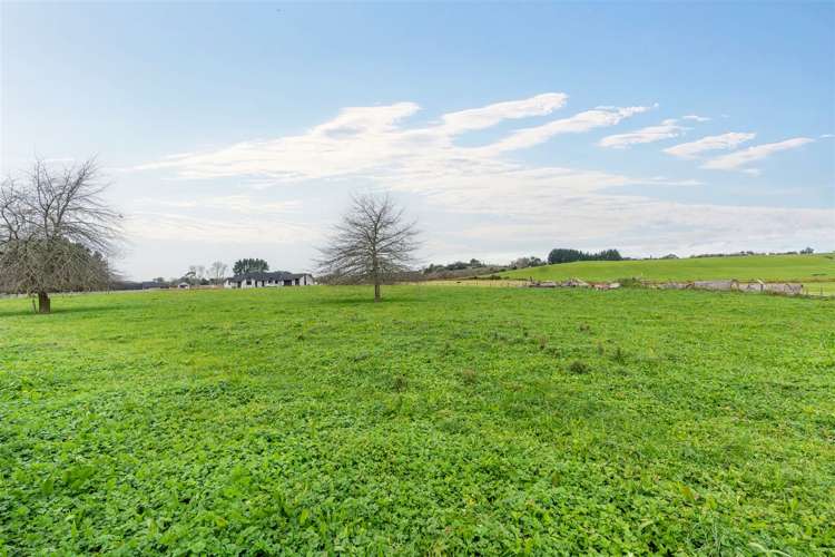 1007 Horotiu Road Whatawhata_1