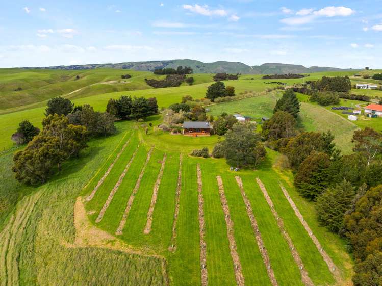 121 Southdown Drive Martinborough_25