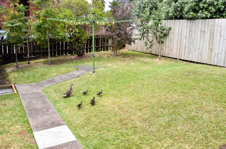 50 Evans Road Glen Eden_14