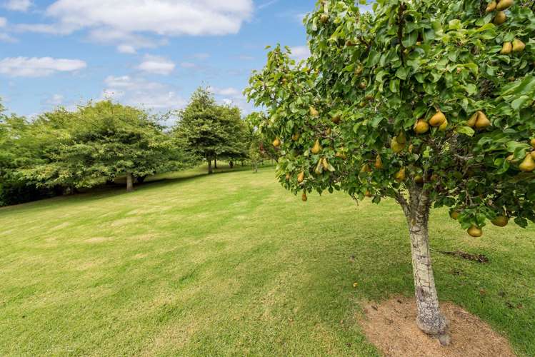 27 Twin Springs Drive Helensville_15