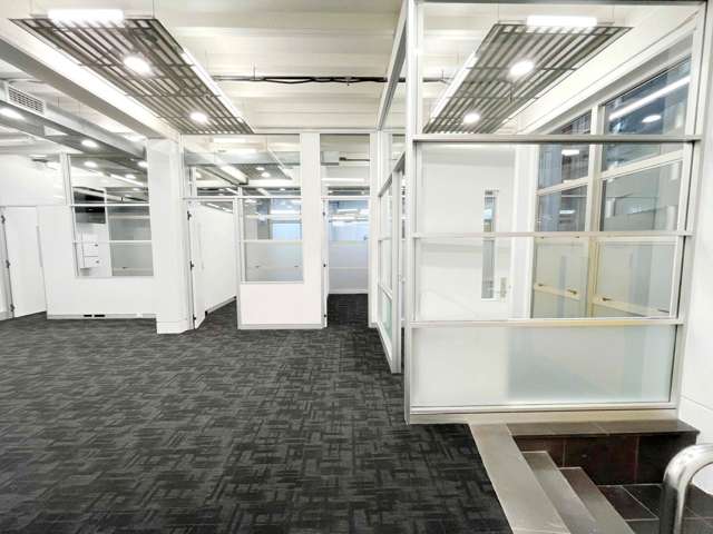 72 Dominion Road Mt Eden_3