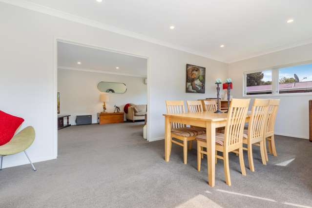 54 Collie Street Hillpark_4