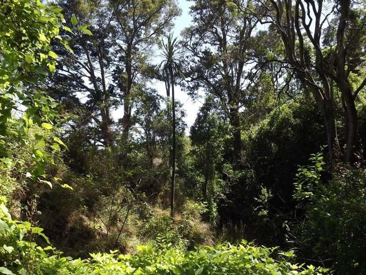 7 Te Kopi Road Te Whiti_13