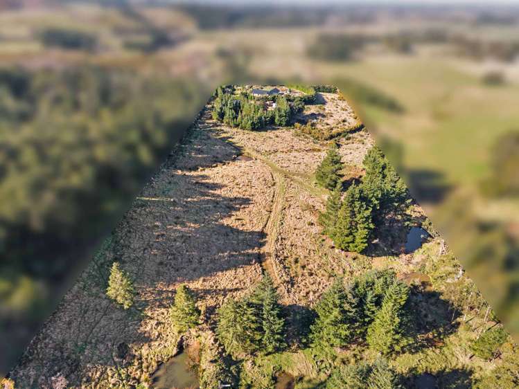 83 Sladdens Bush Road Coopers Creek_29