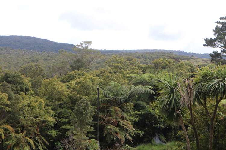 Opouteke Road Dargaville Surrounds_8