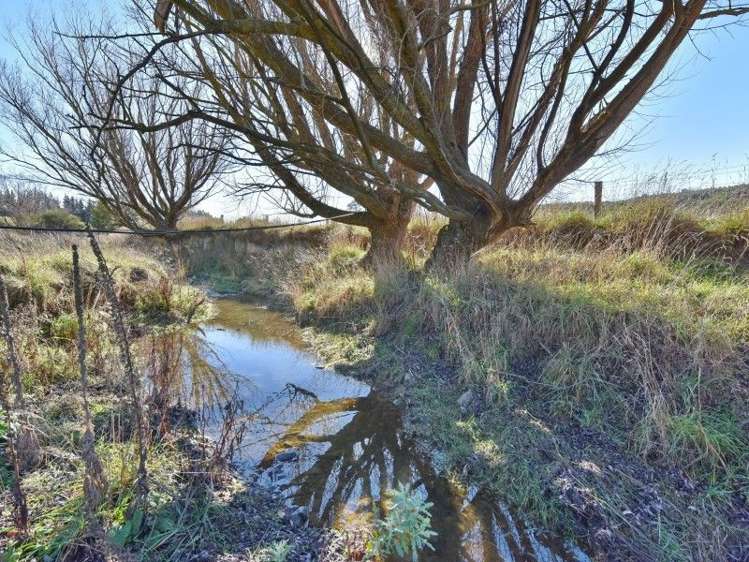 50 Loburn Terrace Road Loburn_6