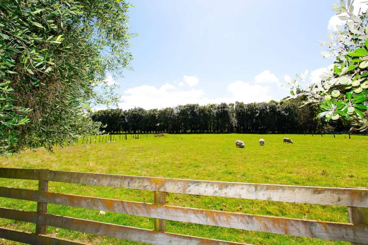 20a Simpson Road Westmere_16