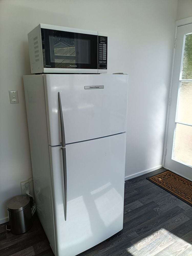 4B Cecil Road Wadestown_12