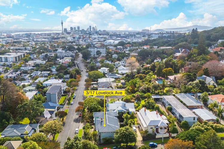 3/17 Lovelock Avenue Mount Eden_28