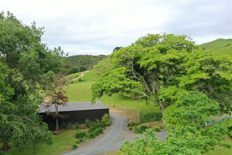 40 Cogswell Road Raglan_39