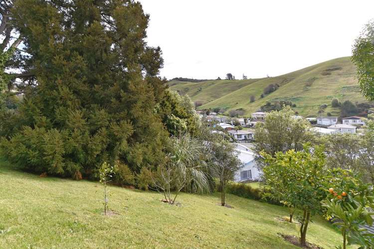 240 Saint Vincent Street Toi Toi_13