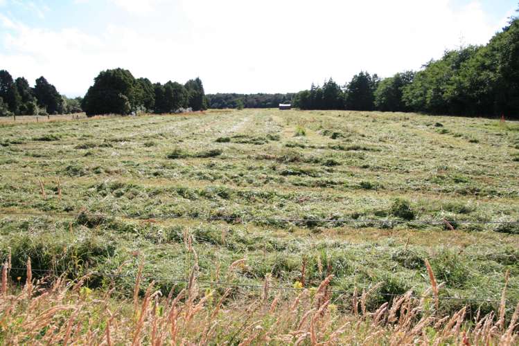 970 Pembroke Road West Stratford West_30