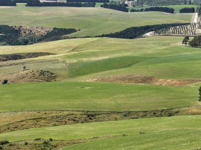 675 Black Bridge Road Ashley Downs_4