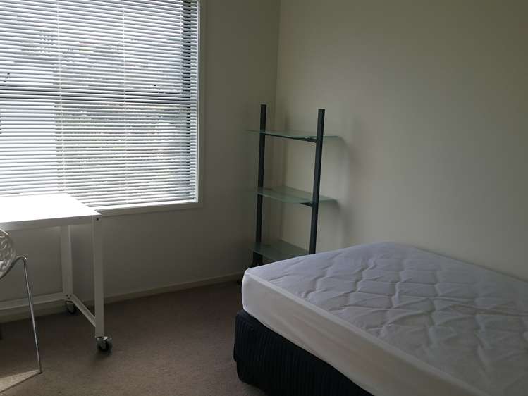 3j Laxon Terrace Remuera_12