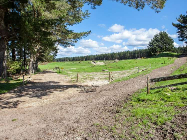 667a Kopuriki Road Murupara Surrounds_11