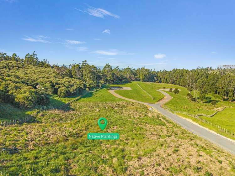 29 Mokohinau Drive Mangawhai_6