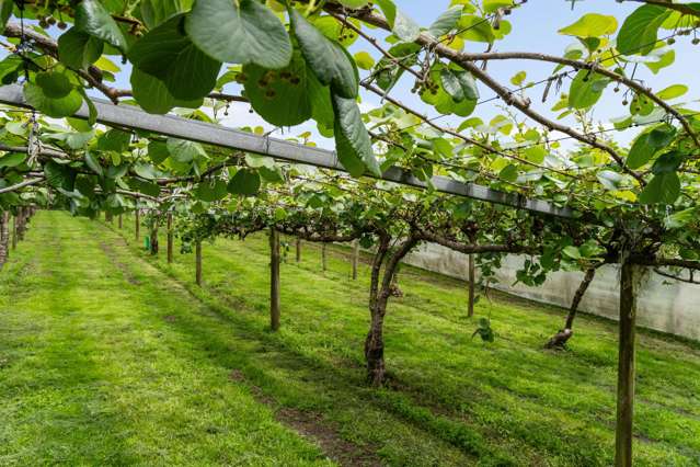 121A No 4 Road Te Puke_4