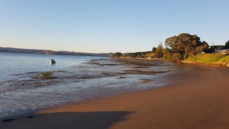 45 Panera Street Kawhia_34