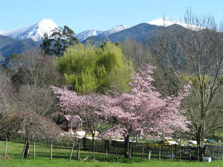 26 Greenhill Road Ngatimoti_38