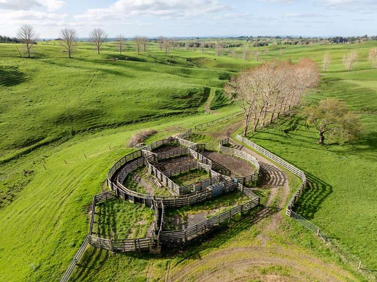 819 Waikokowai Road Ruawaro_16