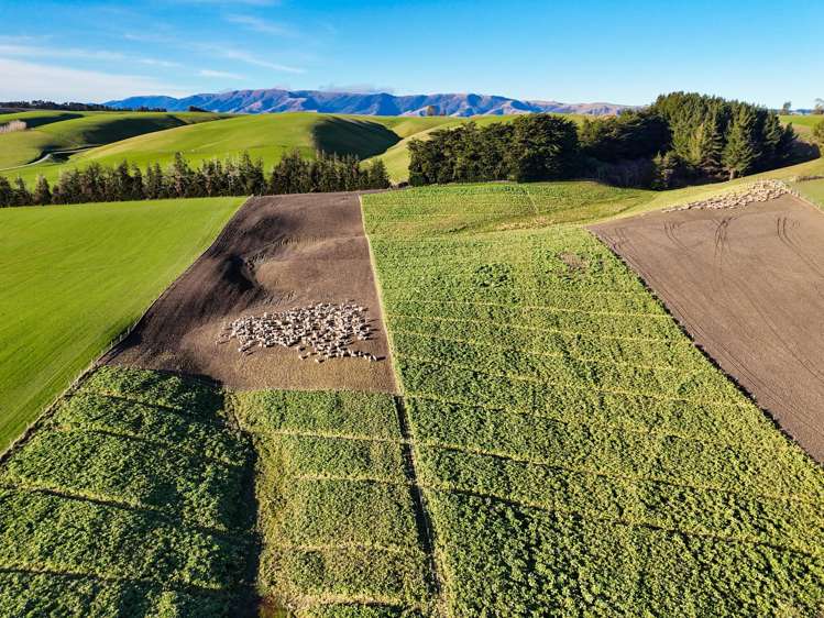 348 Koi Road Waikoikoi_5