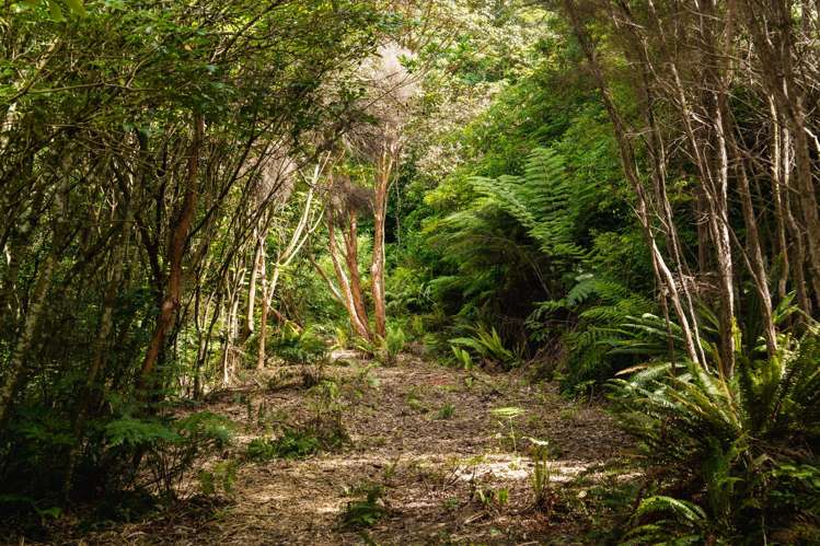 30 Ruru Avenue St Leonards_14