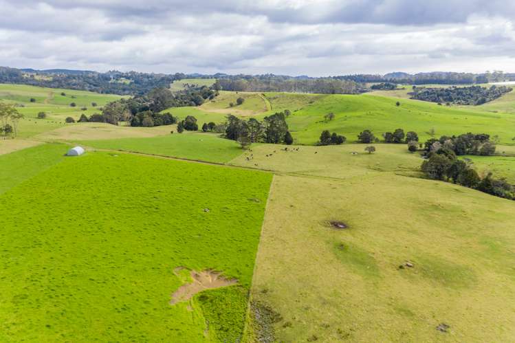 460 Pungaere Road Kerikeri Surrounds_24