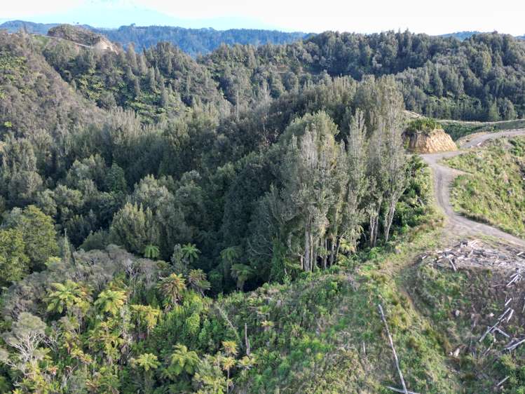 Junction Road Pohokura and Surrounds_26