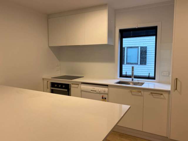 16/42 Saint Benedicts Street Eden Terrace_1