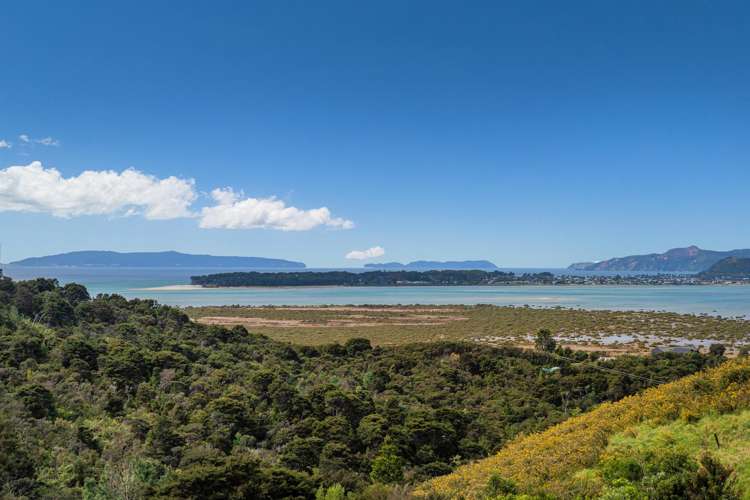 106A Horongaherehere ROW Whangapoua_27