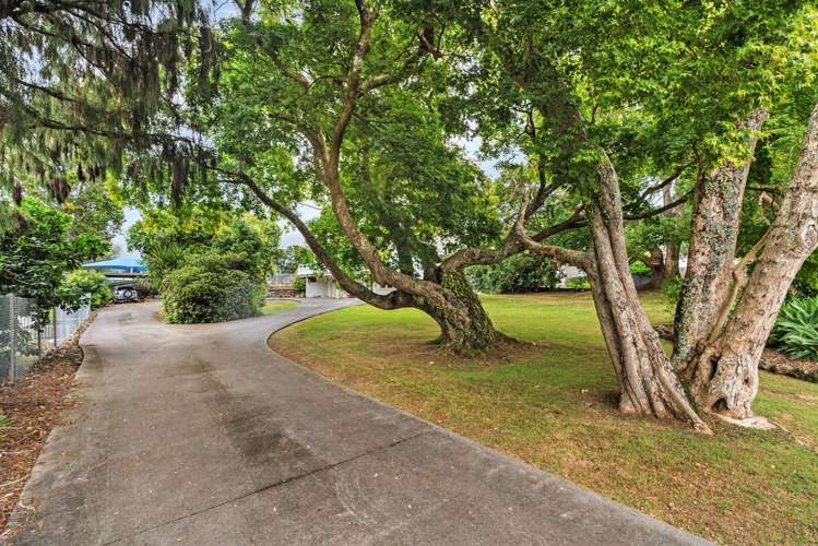 21 Moody Avenue Whau Valley_23