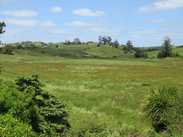 Swamp Road Mareretu_3