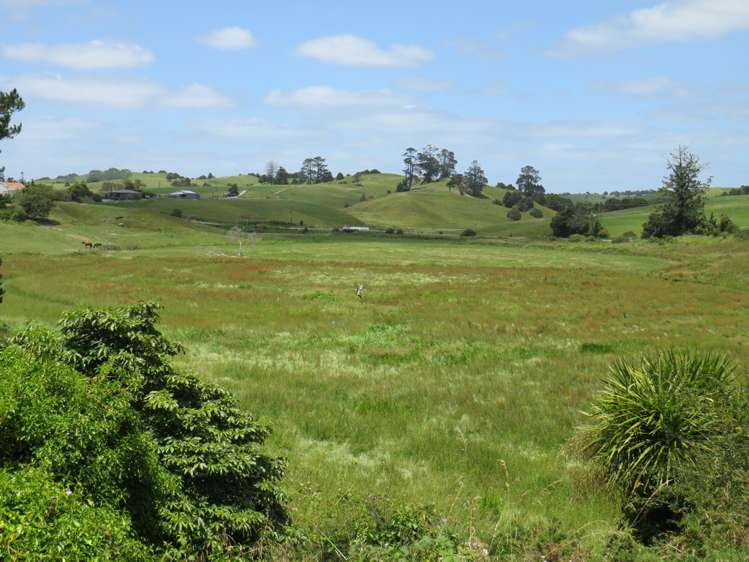 Swamp Road Mareretu_3