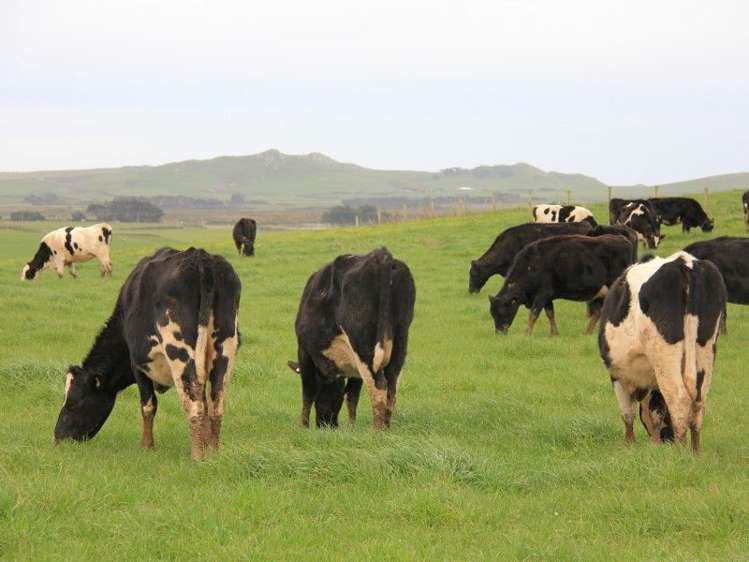 67 Pahia Round Hill Road Pahia_11