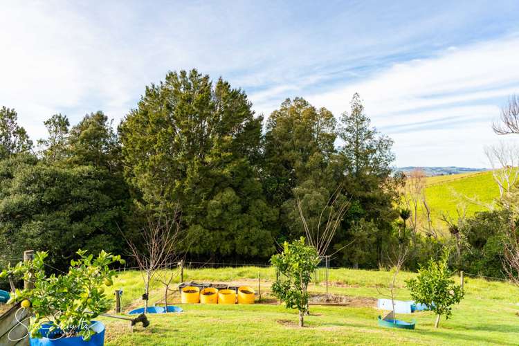 16 Nikau Lane Maungaturoto_34