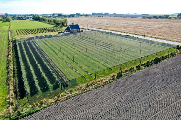 1686 Waimate Highway Makikihi_21