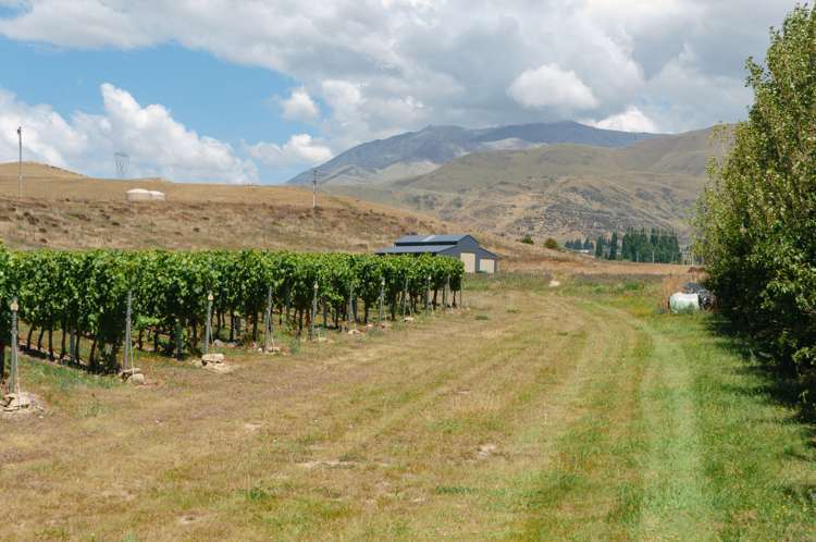 9 Awahokomo Road Kurow_6